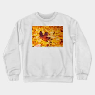 Hand holding brown maple leaf Crewneck Sweatshirt